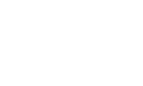 Empire-Hyundai-500w.webp