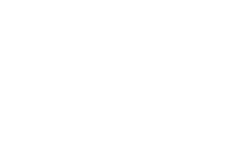 KOEPPEL-HYUNDAI-500.webp